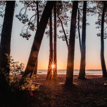 In By The * Biscarrosse