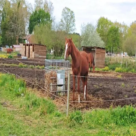 In By The Appartamento