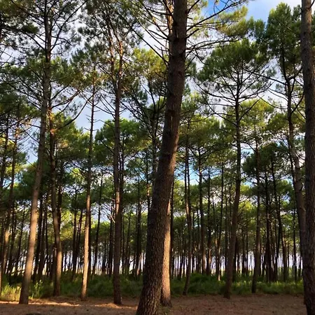 Appartamento In By The *