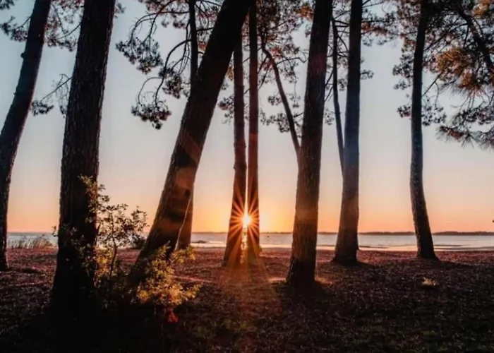 In By The * Biscarrosse