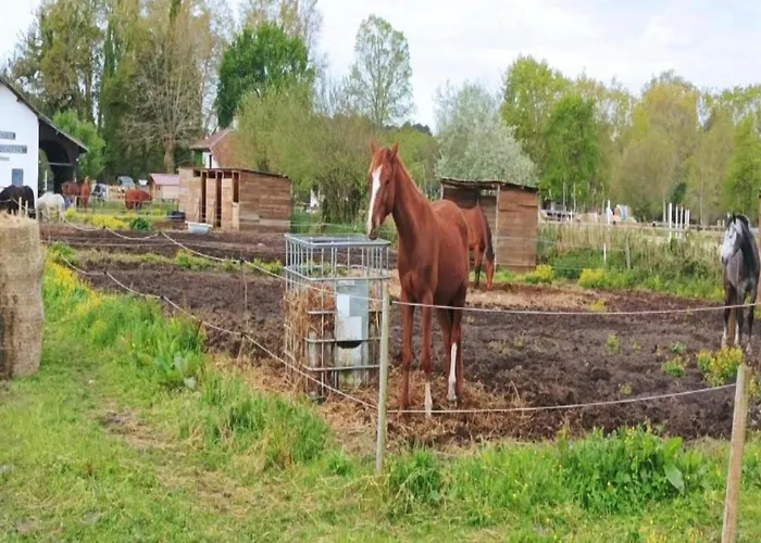 In By The Apartament