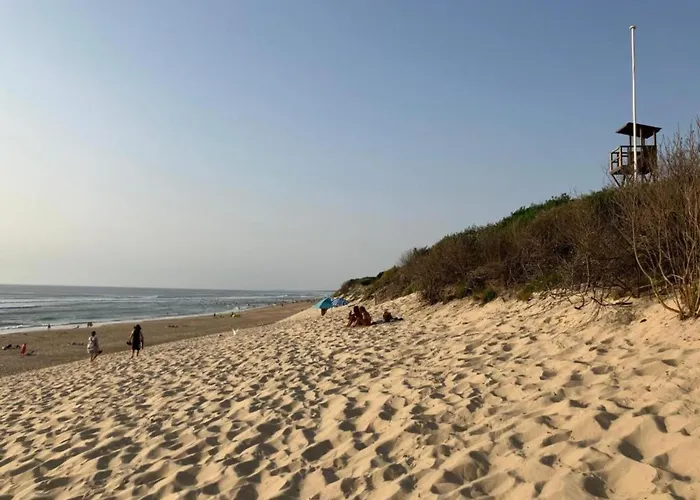 In By The Biscarrosse